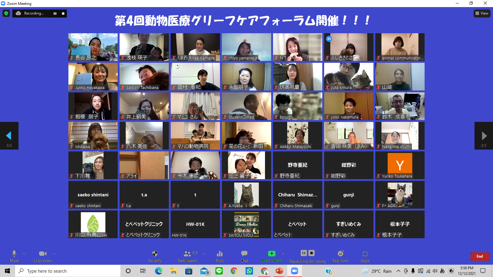 2021vgcf3.png